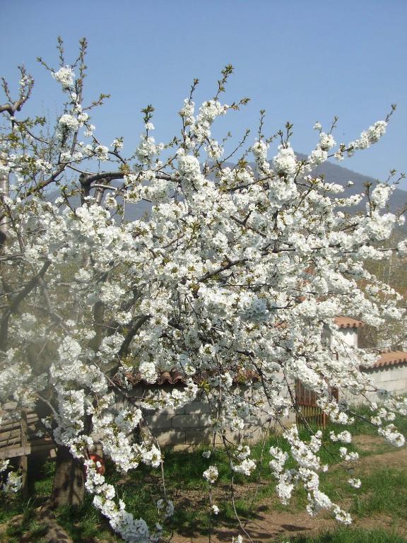 Agriturismo Cascina Rossano Provaglio d'Iseo Exterior foto